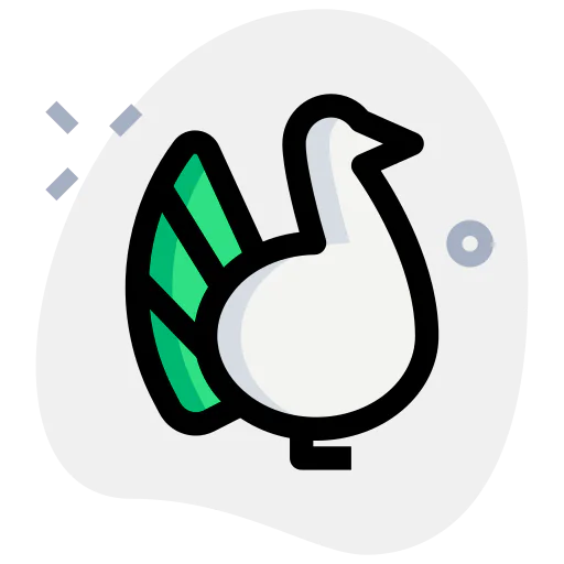 Turkey icon
