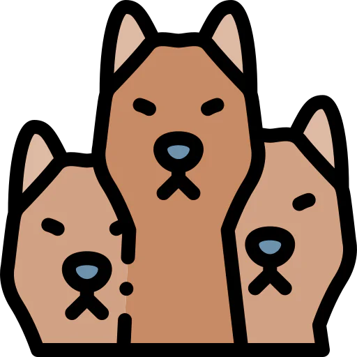 Cerberus icon