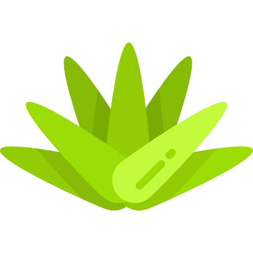 Agave icon