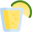 Tequila icon 64x64