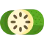 Guanabana icon 64x64