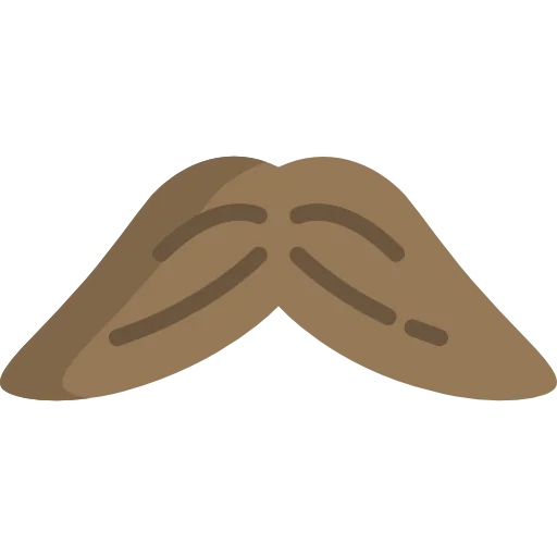 Moustache icon
