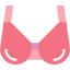 Brassiere icon 64x64