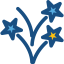 Fireworks icon 64x64