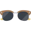 Sunglasses icon 64x64
