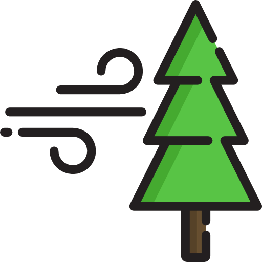 Pine icon