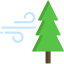 Pine іконка 64x64