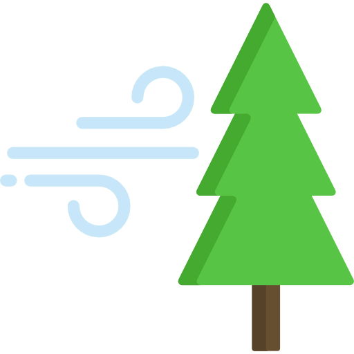 Pine icon