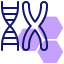 Dna icon 64x64