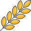 Wheat icon 64x64