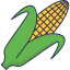 Corn icon 64x64