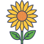 Sunflower icon 64x64