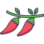 Chilli icon 64x64