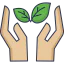 Sprout icon 64x64