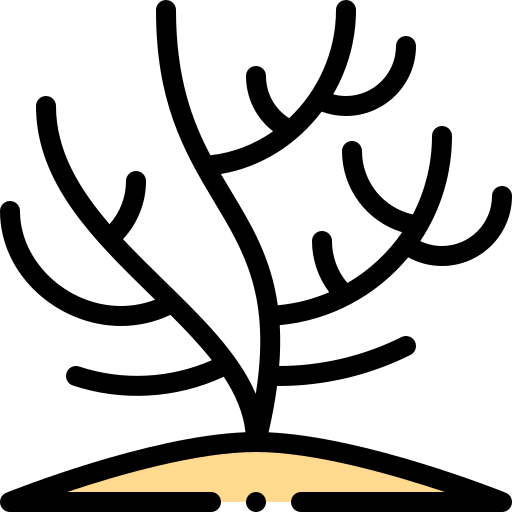 Coral icon