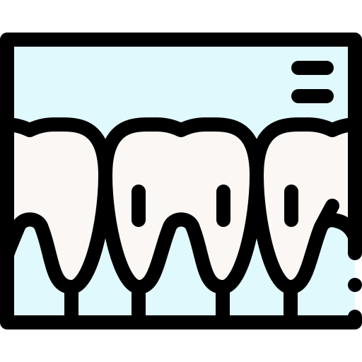 X ray icon