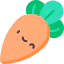 Carrot icon 64x64