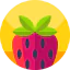 Strawberry Ikona 64x64
