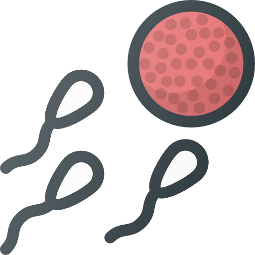 Fertility icon