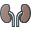Kidneys Symbol 64x64