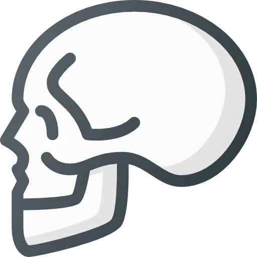 Skull icon