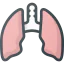 Lungs ícono 64x64