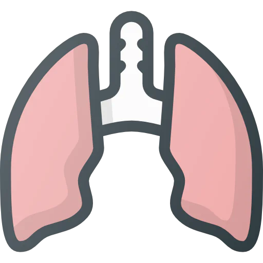 Lungs icon