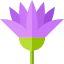 Lotus icon 64x64