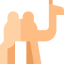 Dromedary icon 64x64