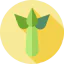 Celery icon 64x64