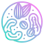 Beans Symbol 64x64