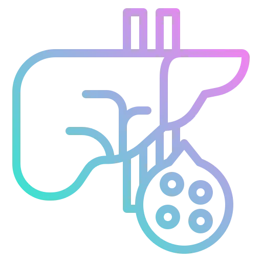 Liver icon