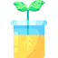 Sprout icon 64x64