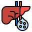 Liver icon 64x64