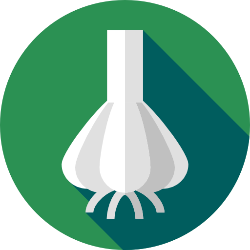Garlic icon