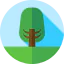 Tree icon 64x64