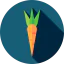 Carrot icon 64x64