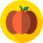 Pumpkin biểu tượng 64x64