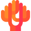 Coral icon 64x64