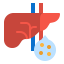 Liver icon 64x64