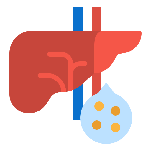 Liver icon