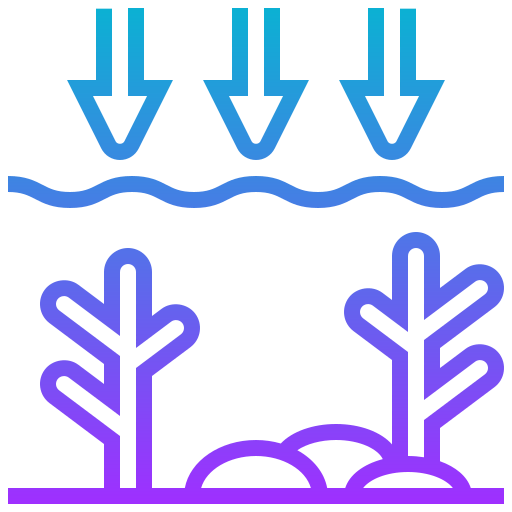 Ocean icon