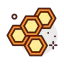 Honey icon 64x64