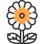 Flower icon 64x64