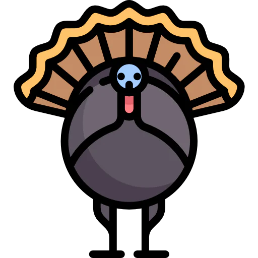 Turkey icon