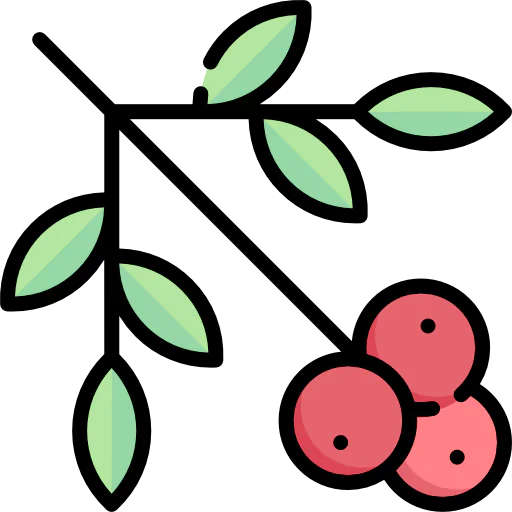 Berries icon
