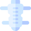 Shin guards icon 64x64