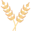 Wheat icon 64x64