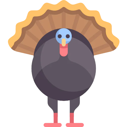 Turkey icon