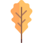 Oak leaf іконка 64x64